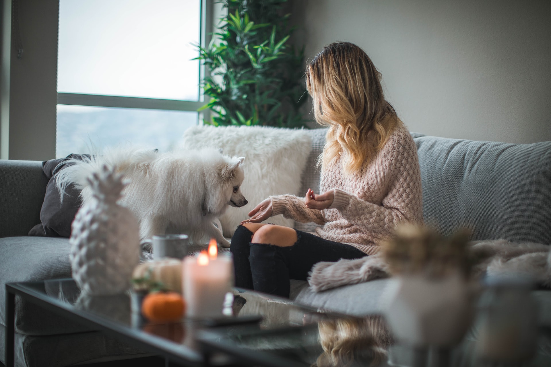 Een mooi interieur: Hoe een financieel plan te maken en je eraan te houden